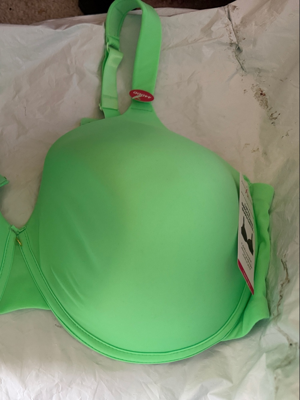Ashley Stewart Mint Green Molded T-Shirt Bra